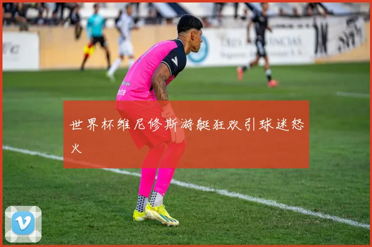 世界杯维尼修斯游艇狂欢引球迷怒火