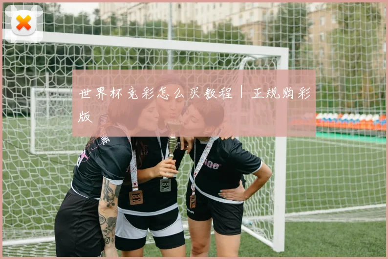 世界杯竞彩怎么买教程｜正规购彩版